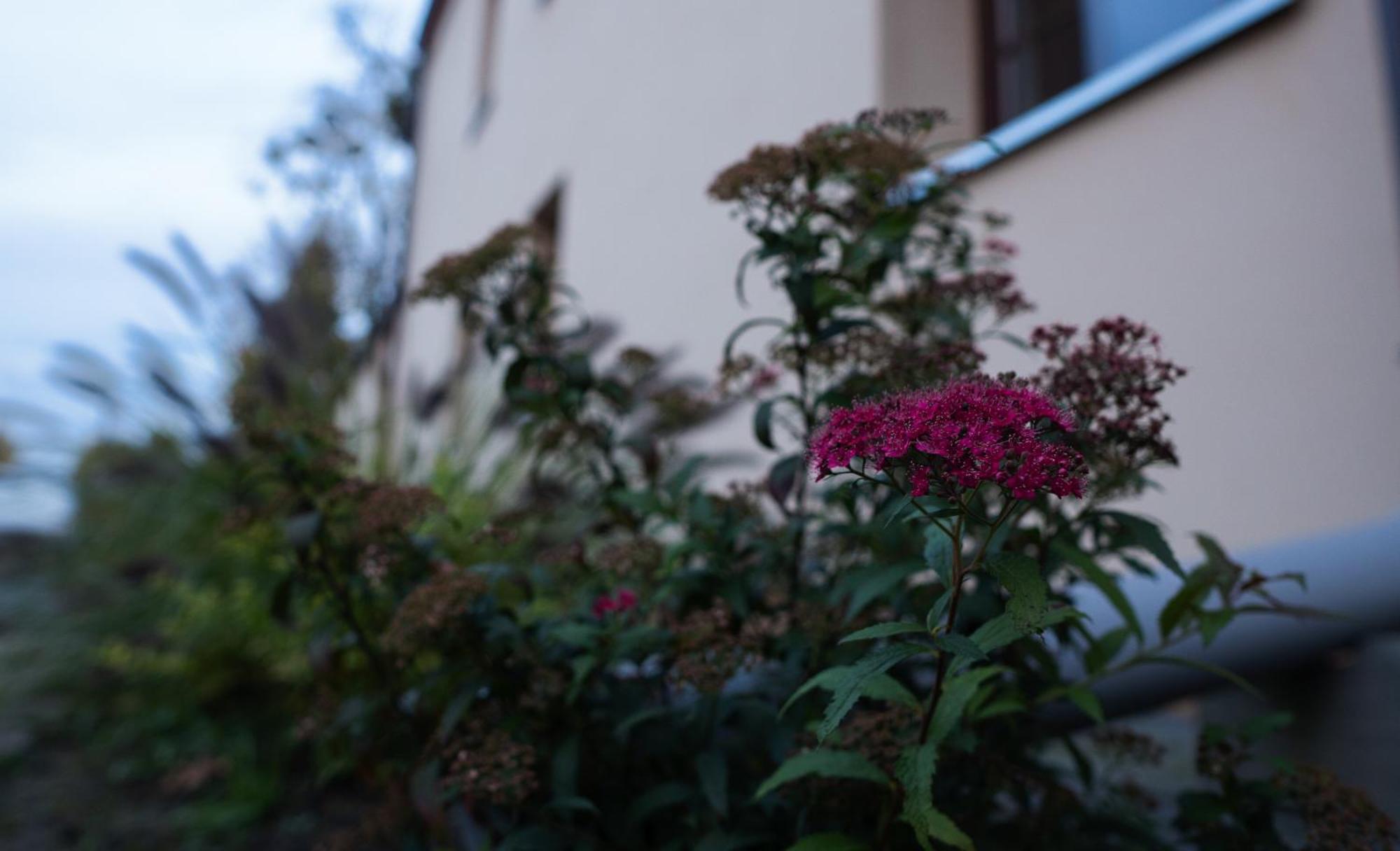 Uroczysko Olesnica Bed and Breakfast Chodzież Eksteriør billede