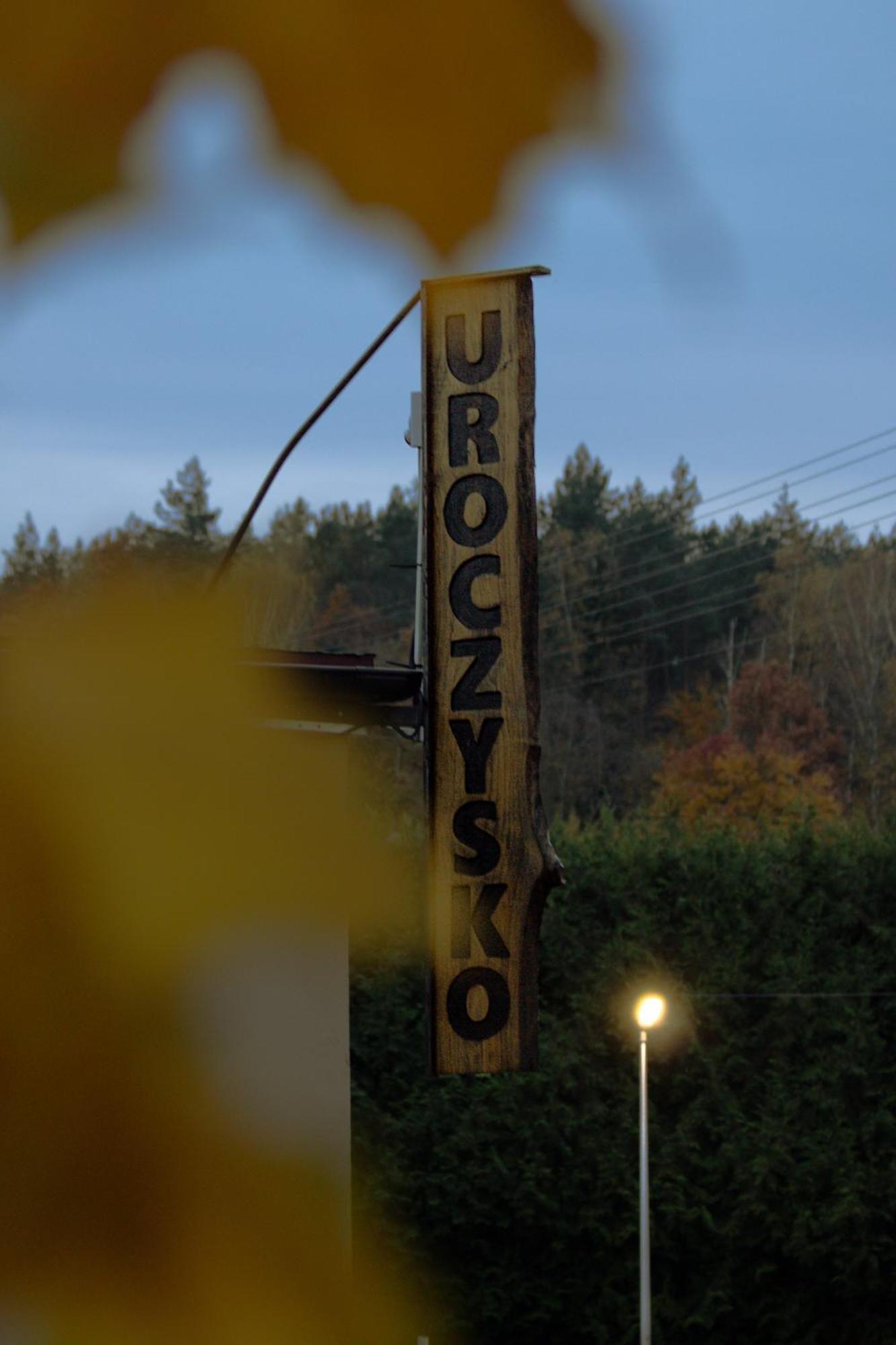 Uroczysko Olesnica Bed and Breakfast Chodzież Eksteriør billede